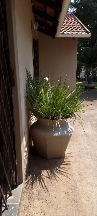 פרטוריה Atterbury Self Catering Studios מראה חיצוני תמונה